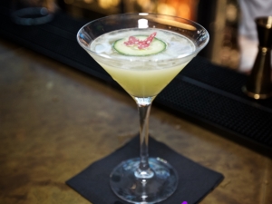 Freedom_Launch_Second_Set_43